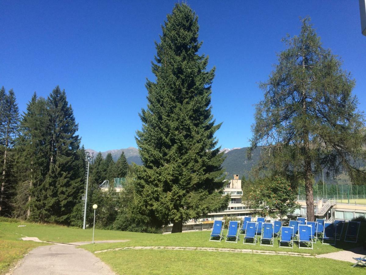 Marilleva 1400 Mezzana (Trentino Alto Adige)